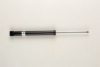BILSTEIN 19-109572 Shock Absorber